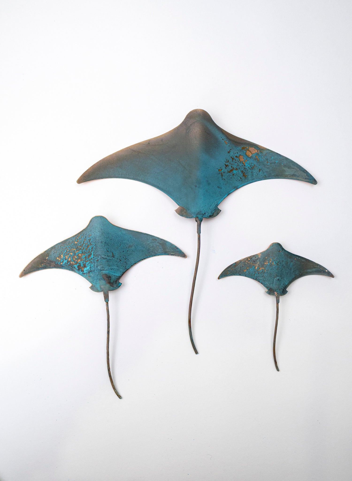 Stingray - Set of 3 (Teal)