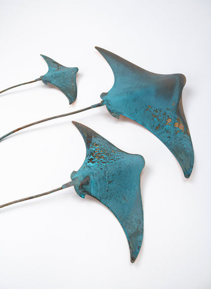 Stingray - Set of 3 (Teal)