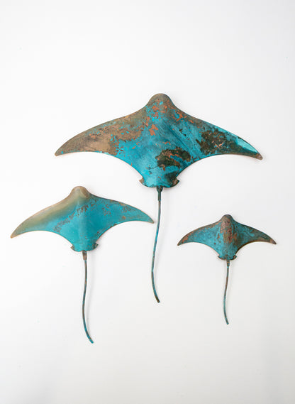 Stingray - Set of 3 (Teal)