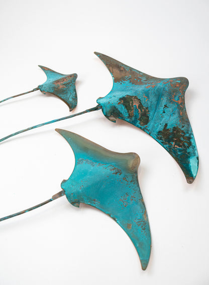 Stingray - Set of 3 (Teal)