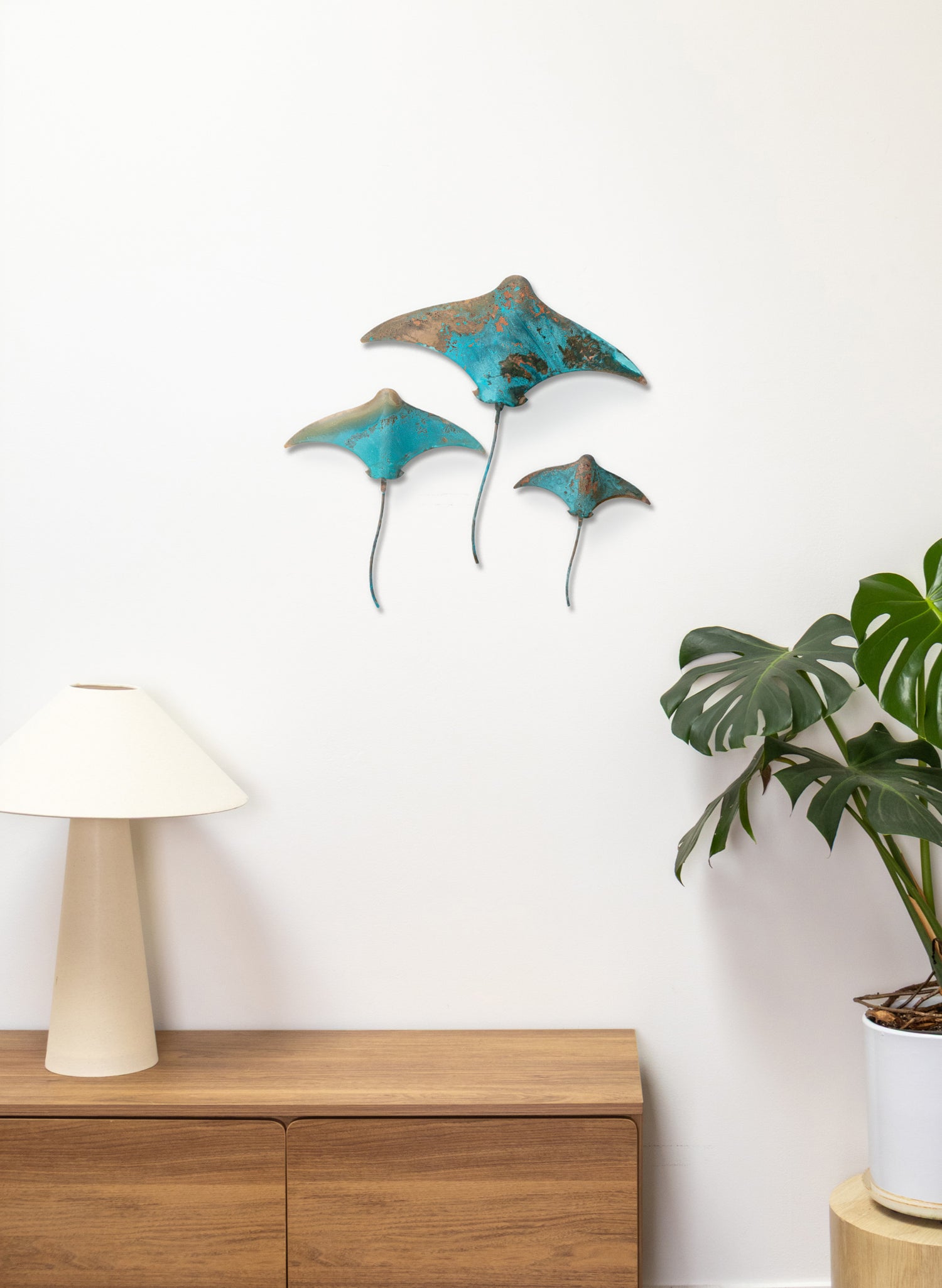 Stingray - Set of 3 (Teal)