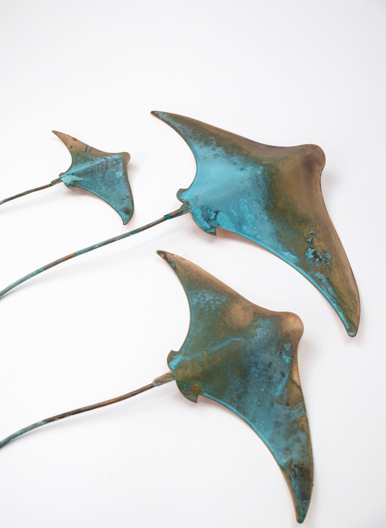Stingray - Set of 3