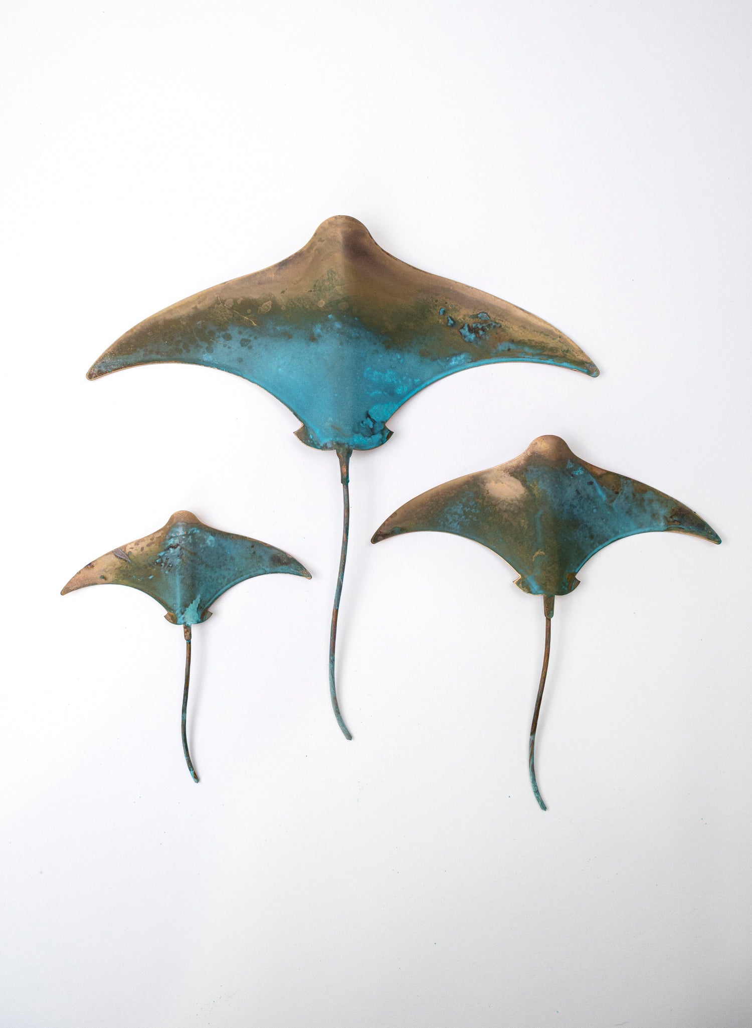 Stingray - Set of 3