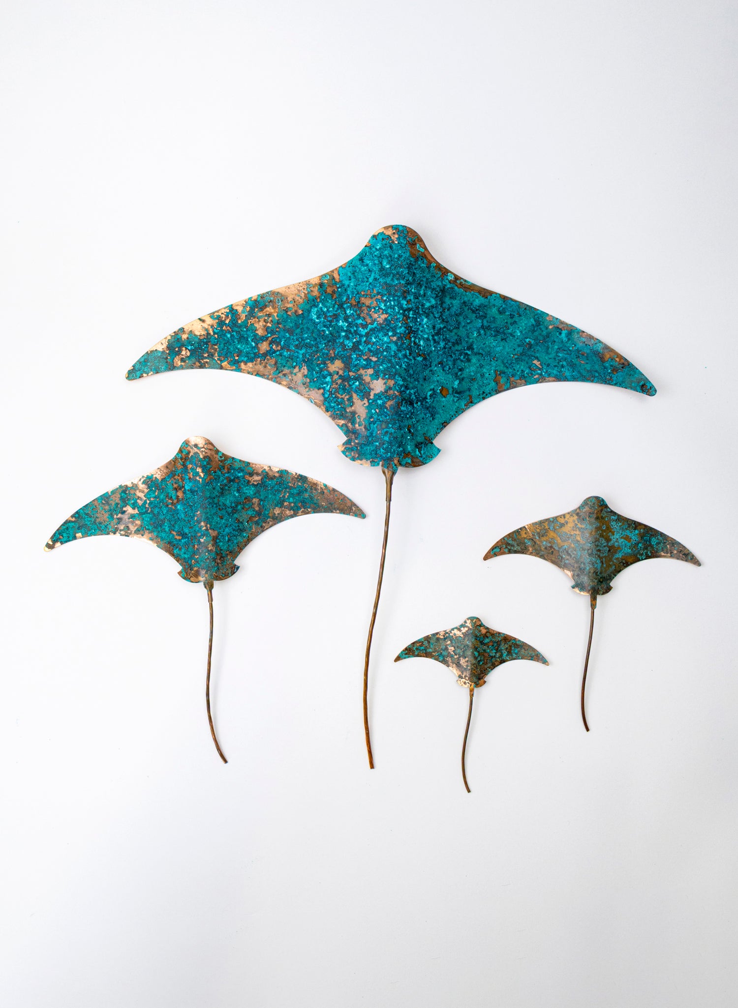 Stingray - Set of 4