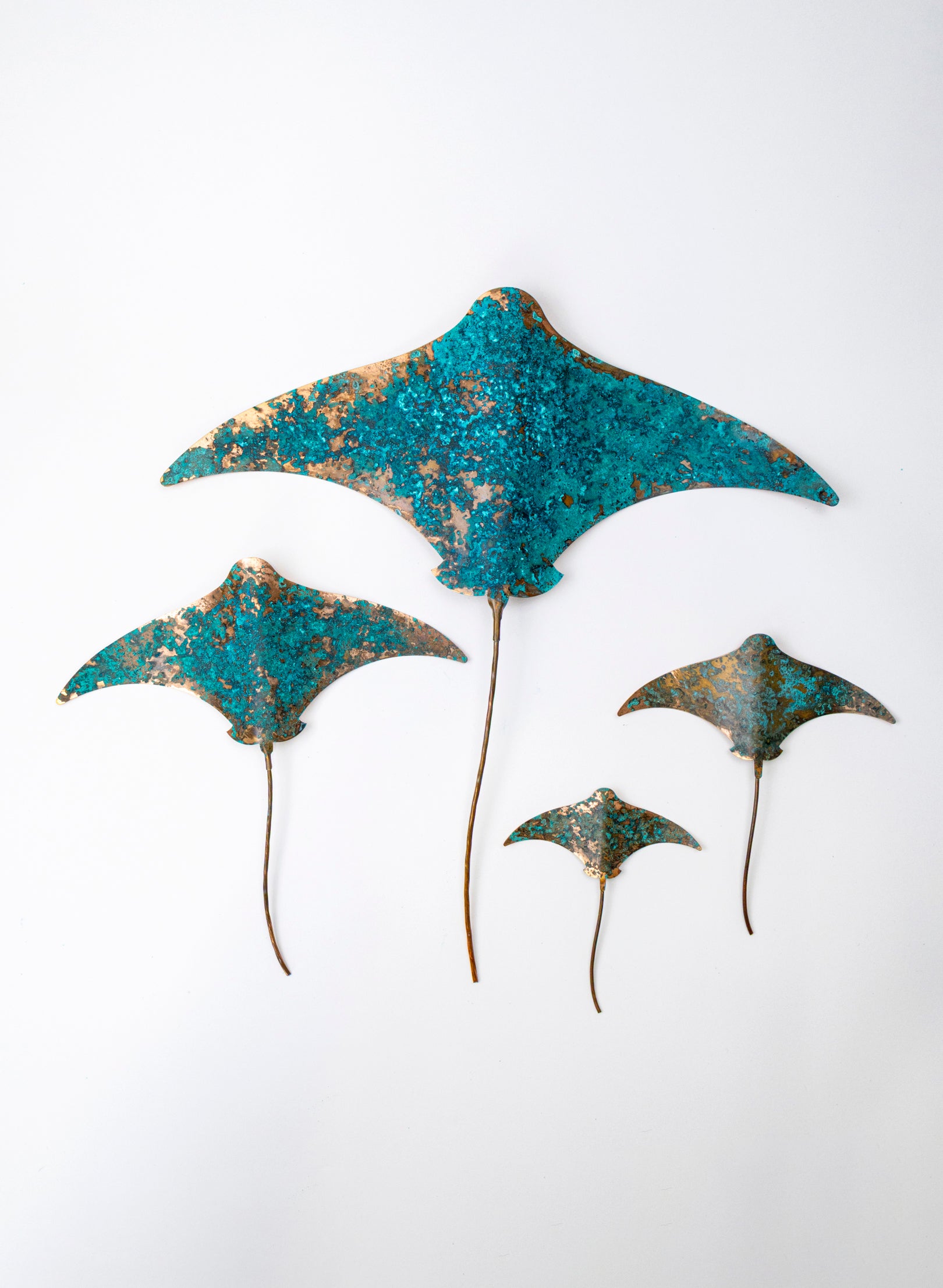 Stingray - Set of 4