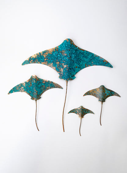 Stingray - Set of 4