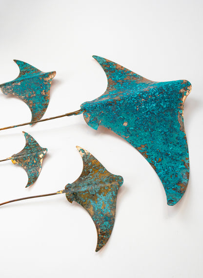 Stingray - Set of 4