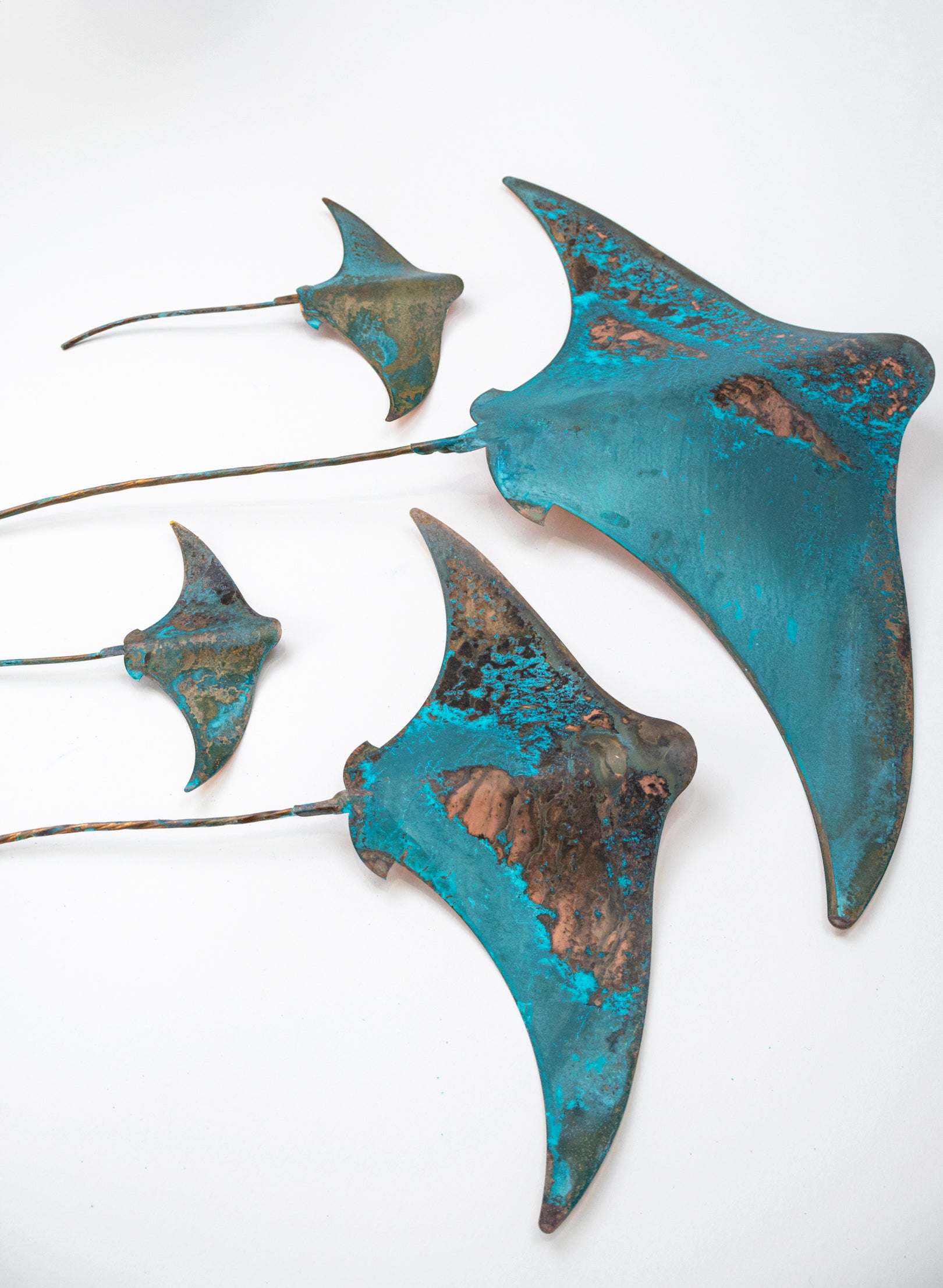 Stingray - Set of 4