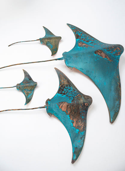 Stingray - Set of 4