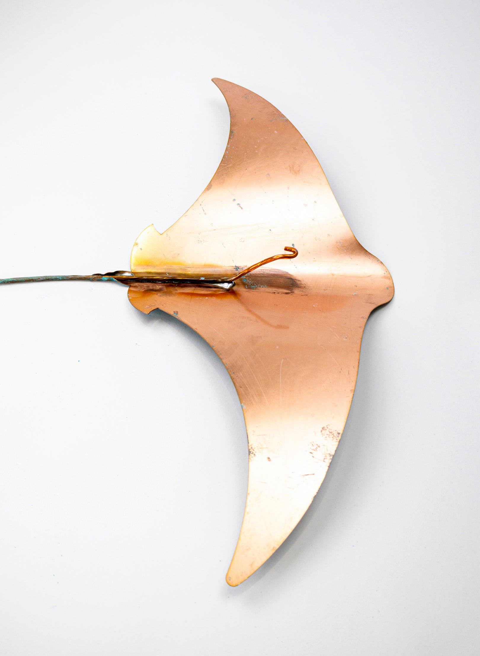 Stingray - Set of 4