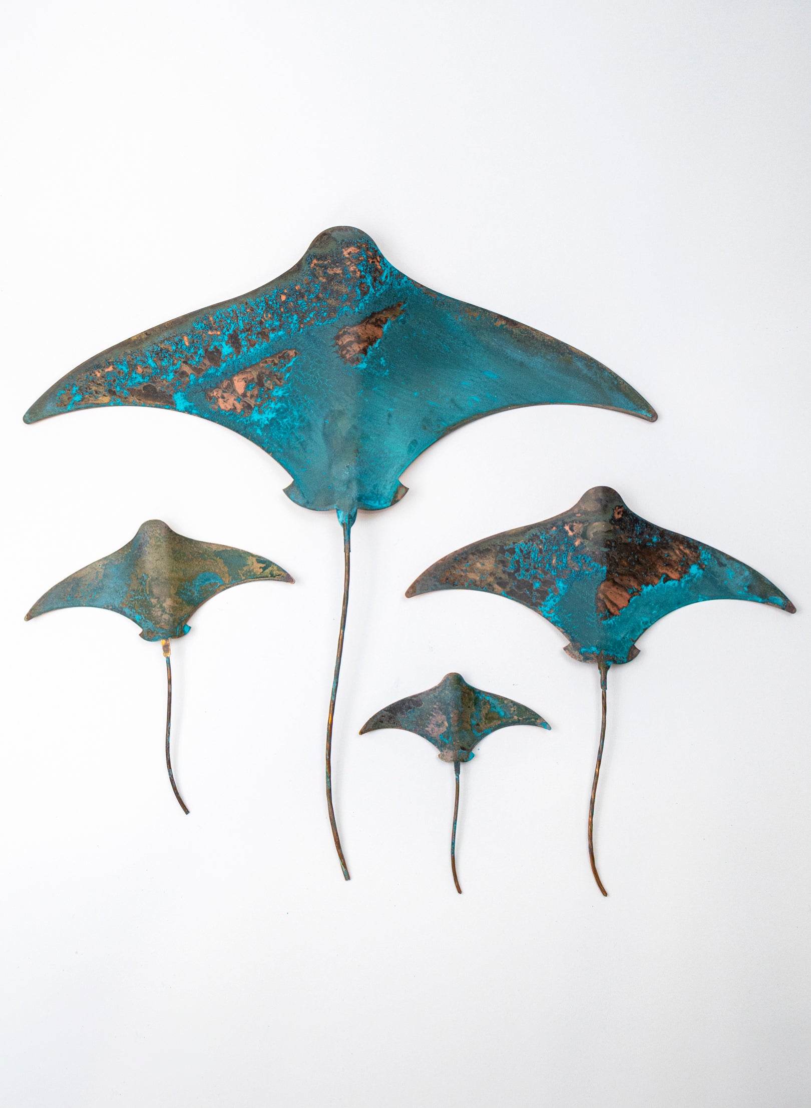 Stingray - Set of 4