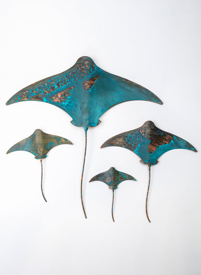 Stingray - Set of 4