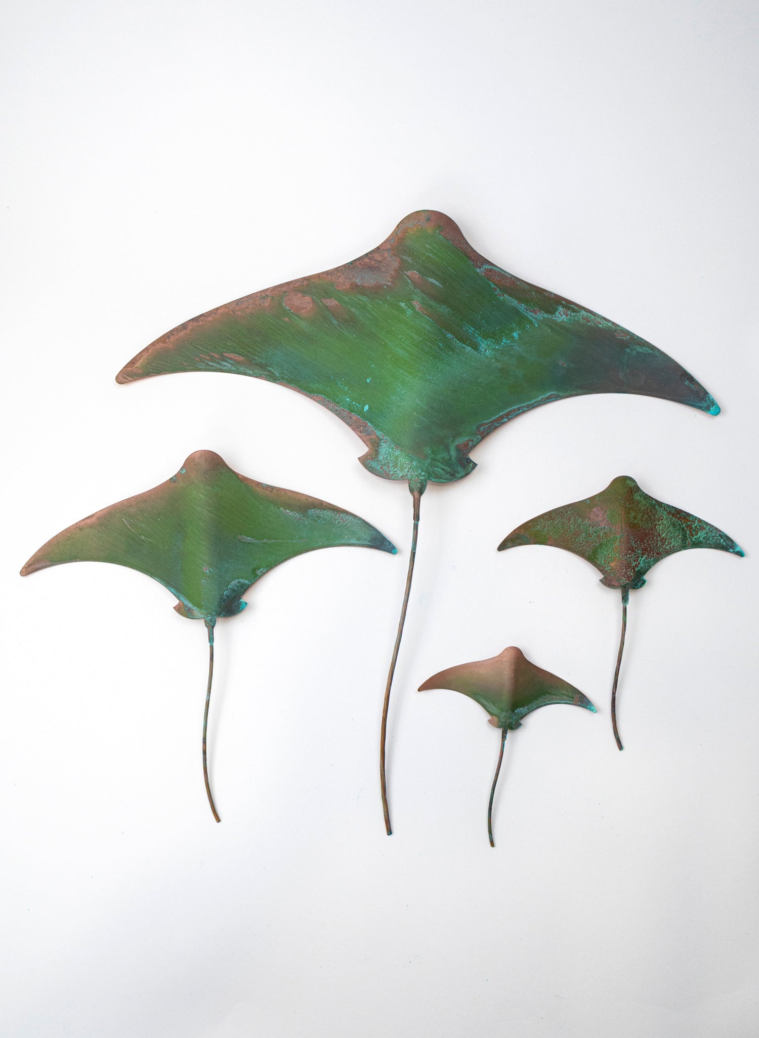 Stingray - Set of 4