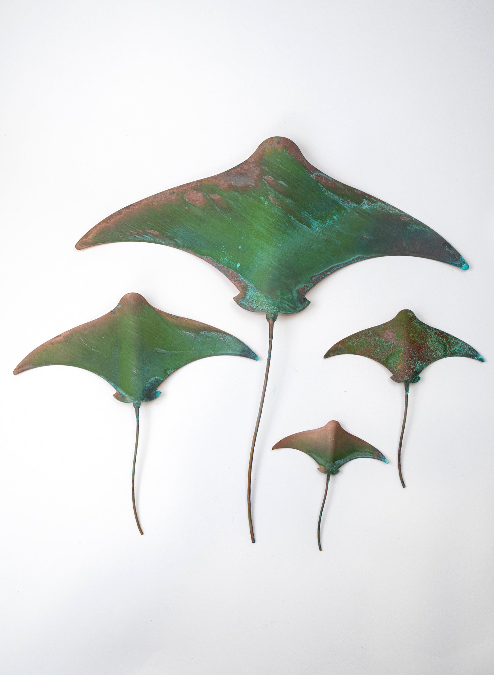 Stingray - Set of 4