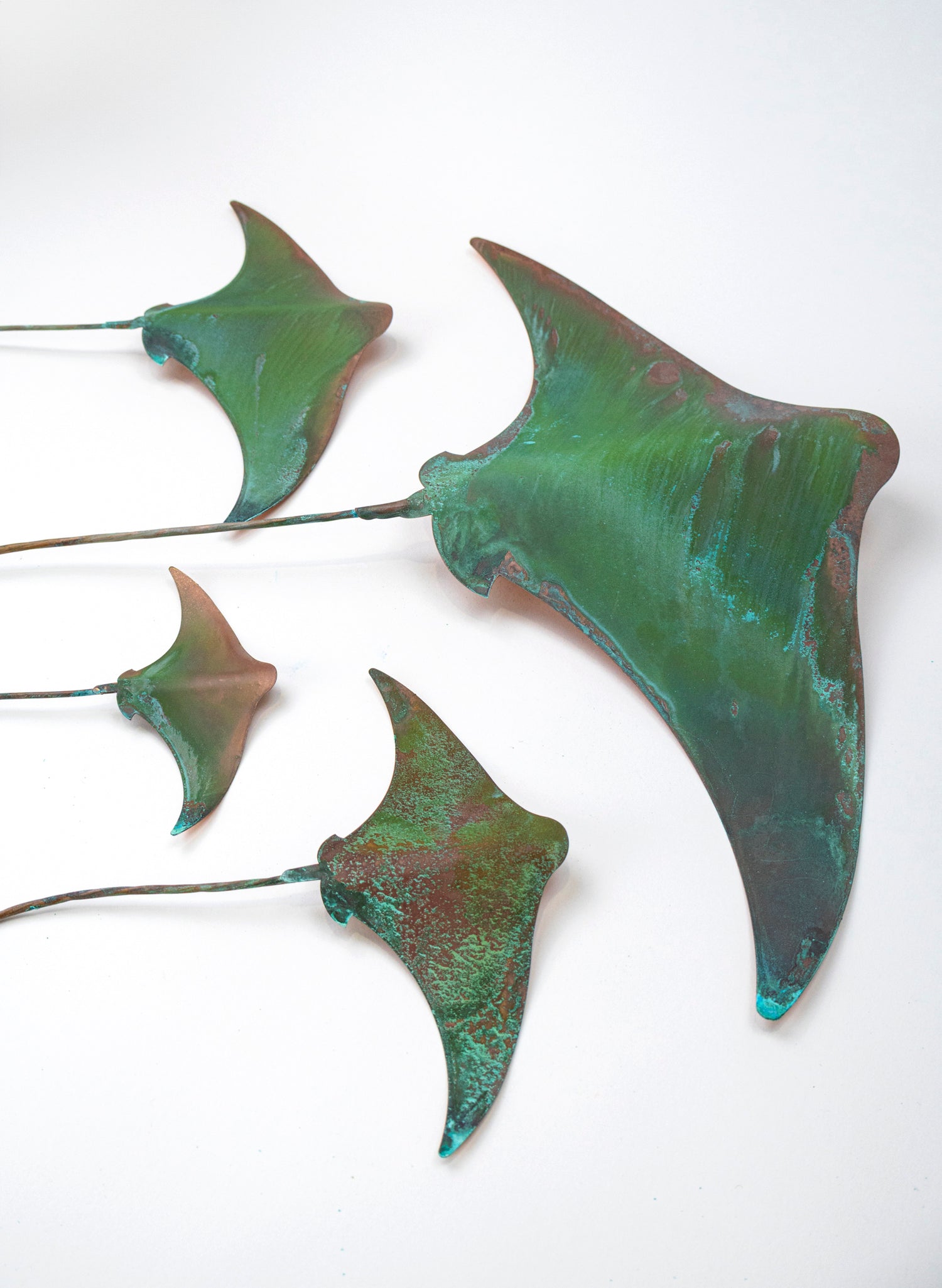 Stingray - Set of 4