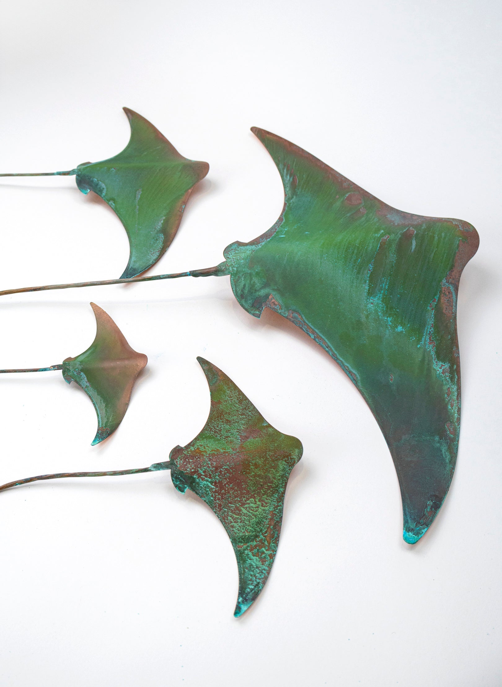 Stingray - Set of 4