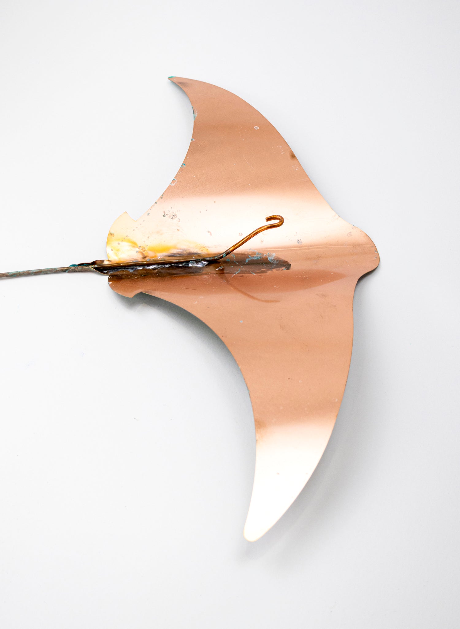 Stingray - Set of 4