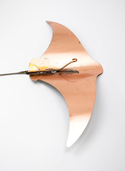 Stingray - Set of 4