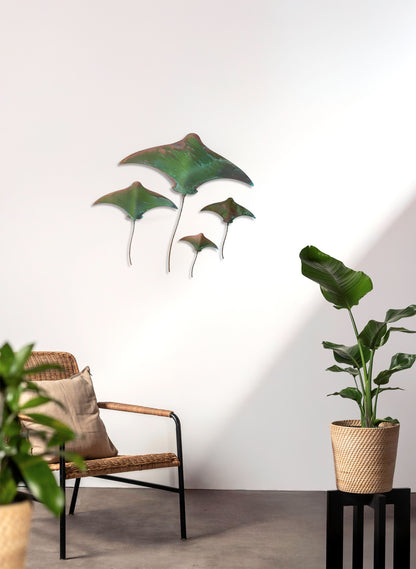 Stingray - Set of 4