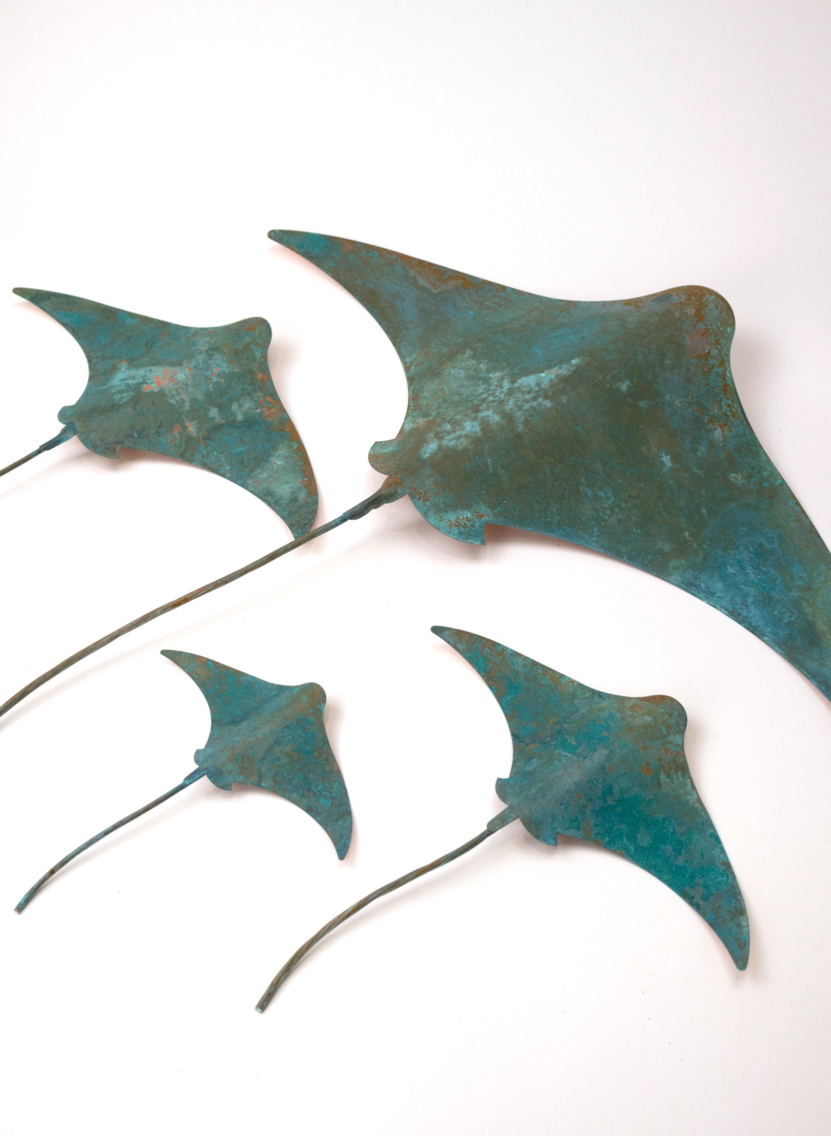 Stingray - Set of 4