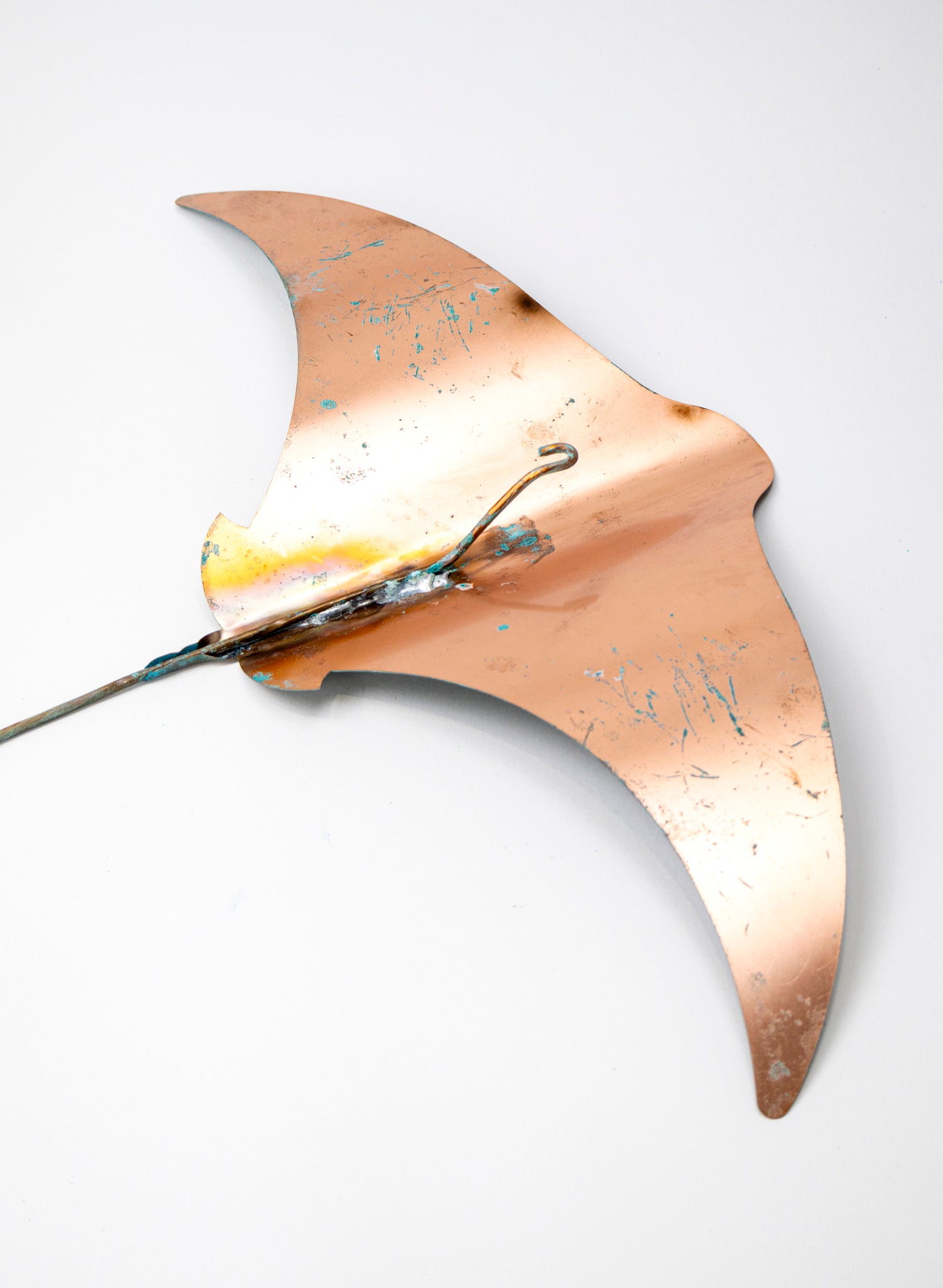 Stingray - Set of 4