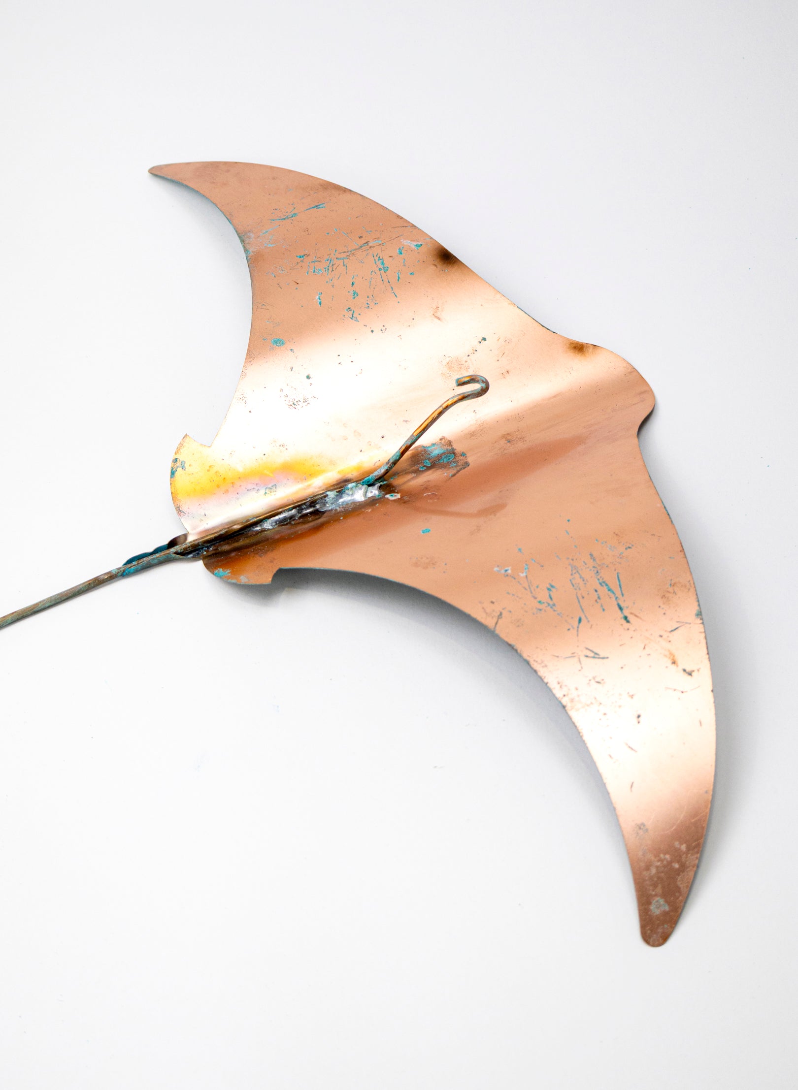 Stingray - Set of 4