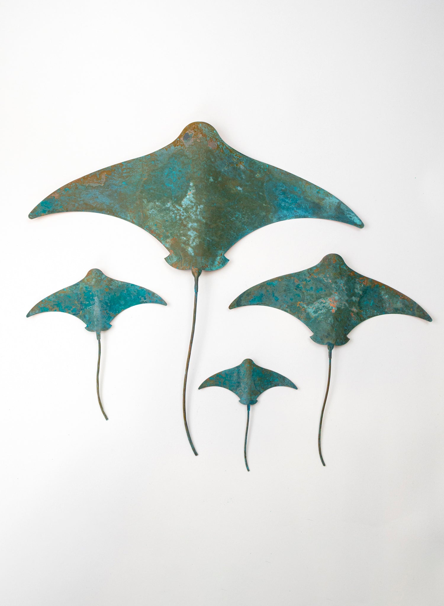 Stingray - Set of 4
