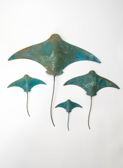 Stingray - Set of 4