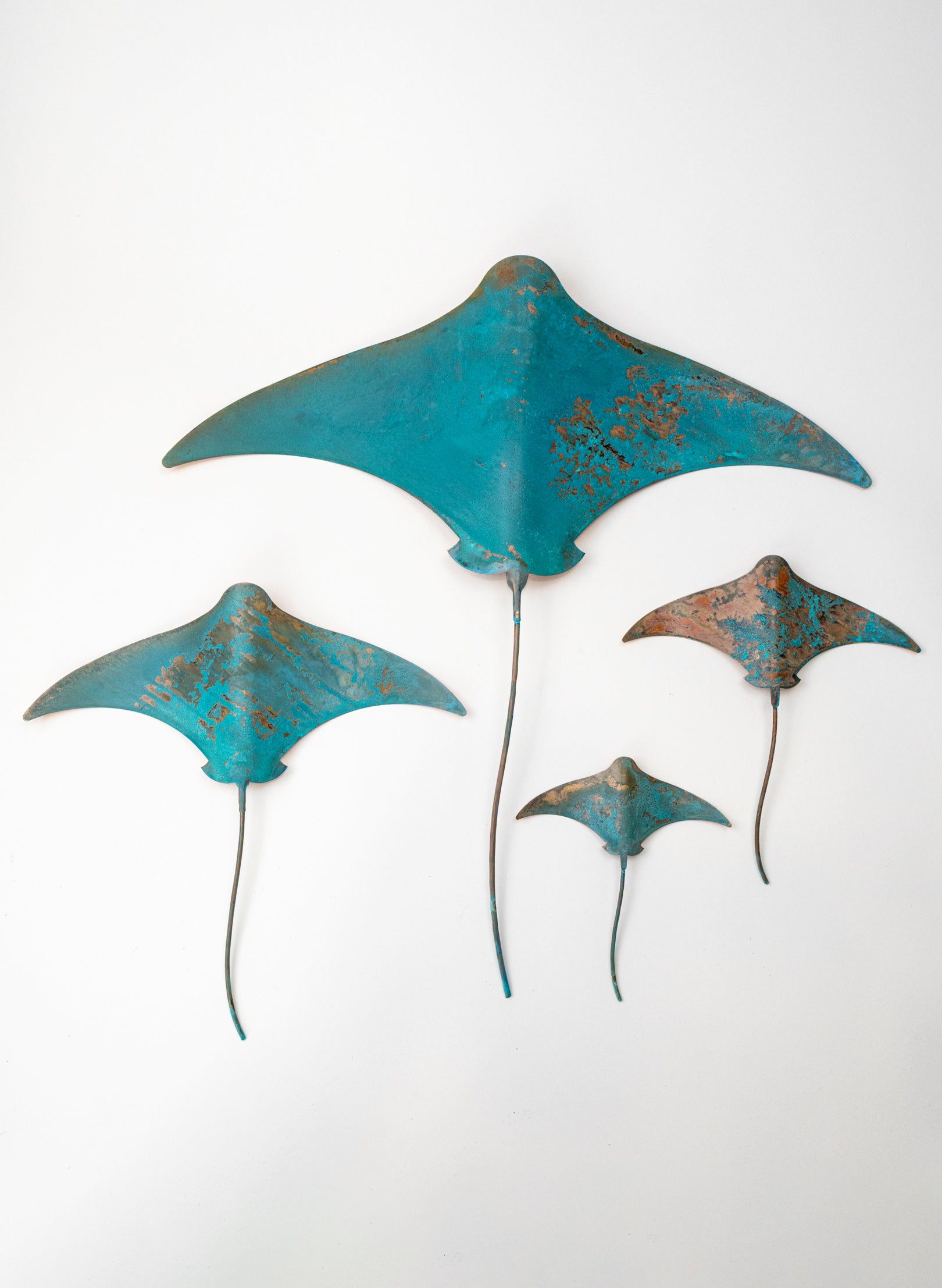 Stingray - Set of 4