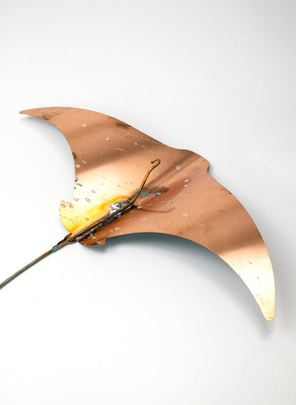 Stingray - Set of 4