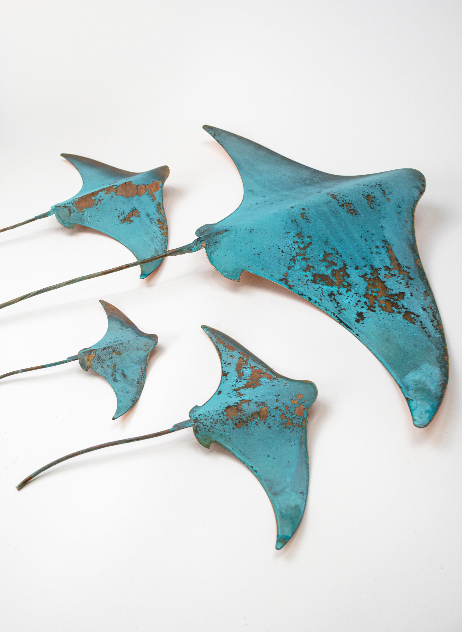 Stingray - Set of 4