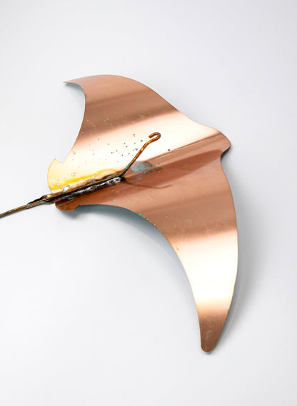 Stingray - Set of 4