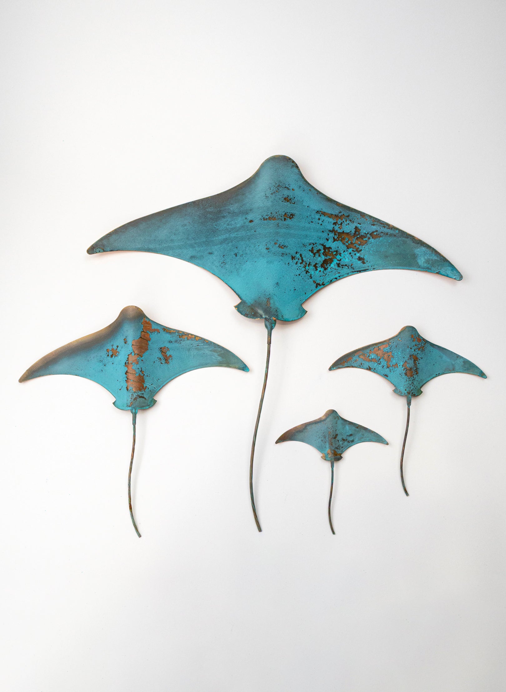 Stingray - Set of 4
