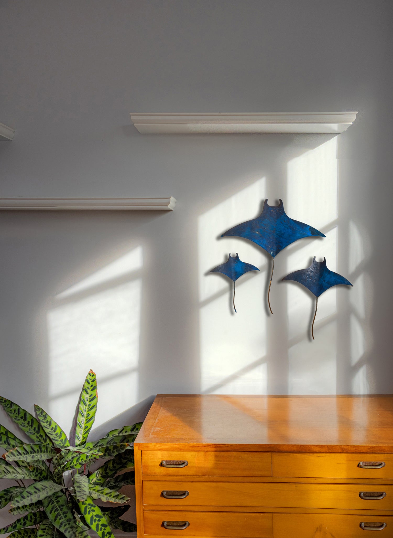 Mantaray - Set of 3 (Blue)