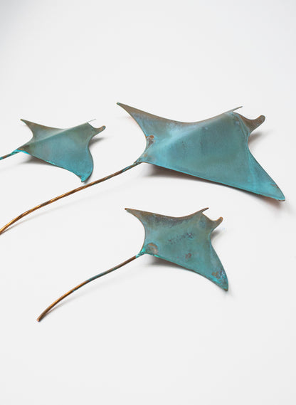 Mantaray - Set of 3