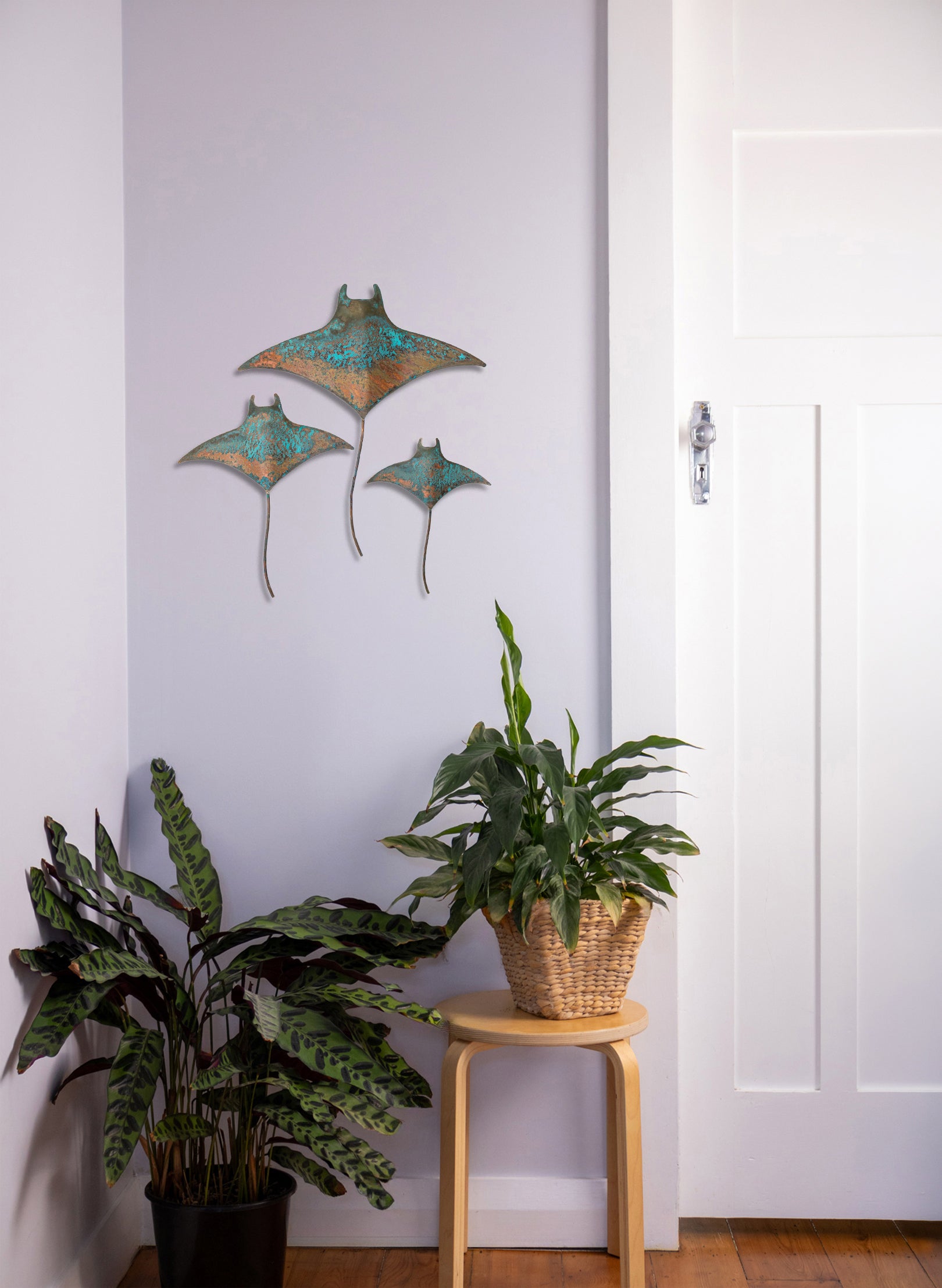 Mantaray - Set of 3