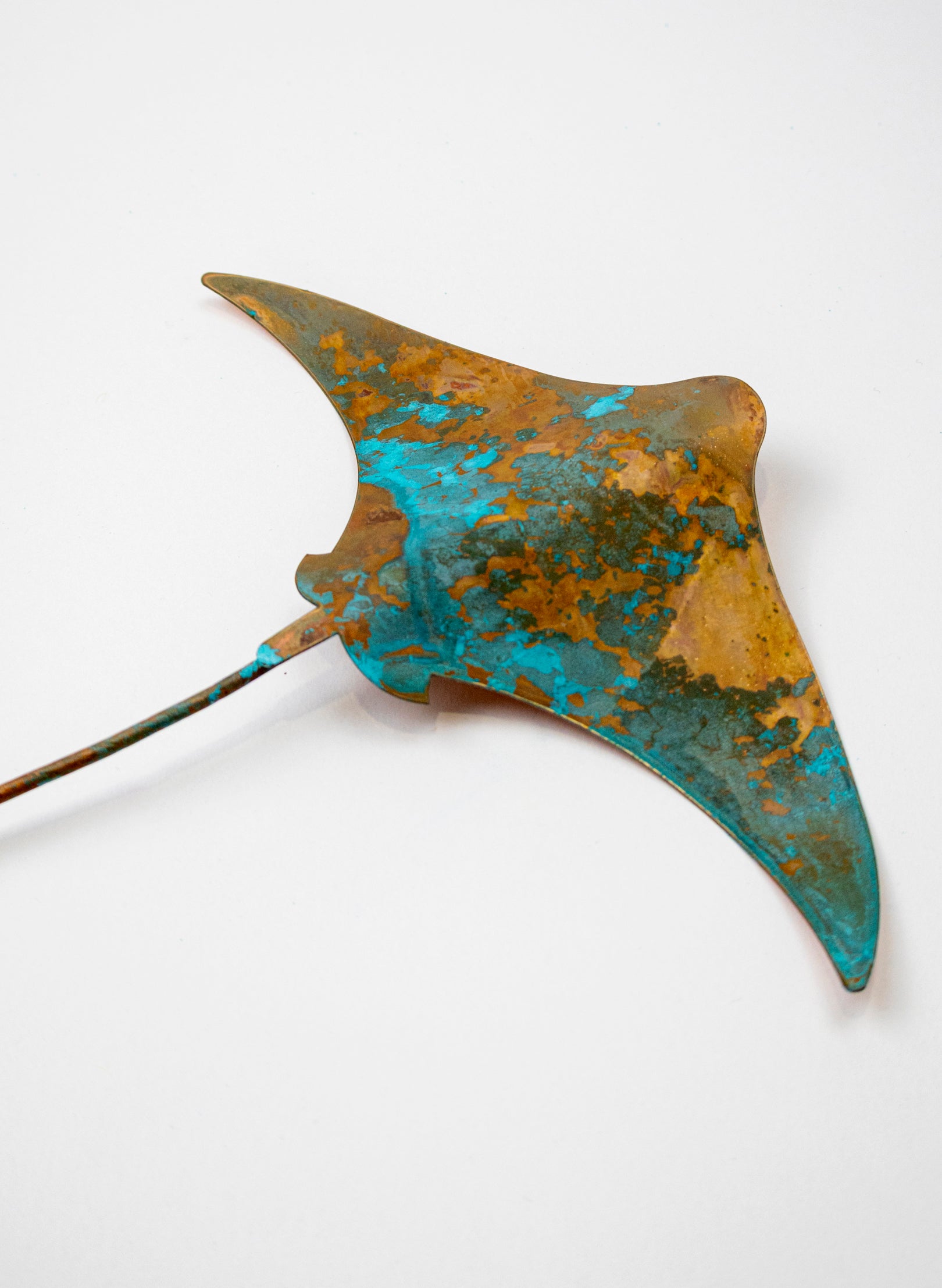 Stingray - Medium