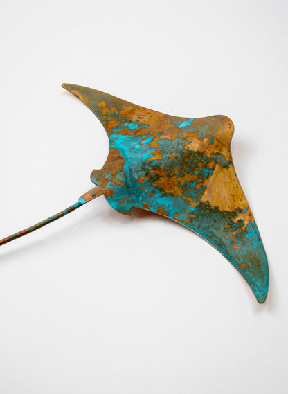 Stingray - Medium