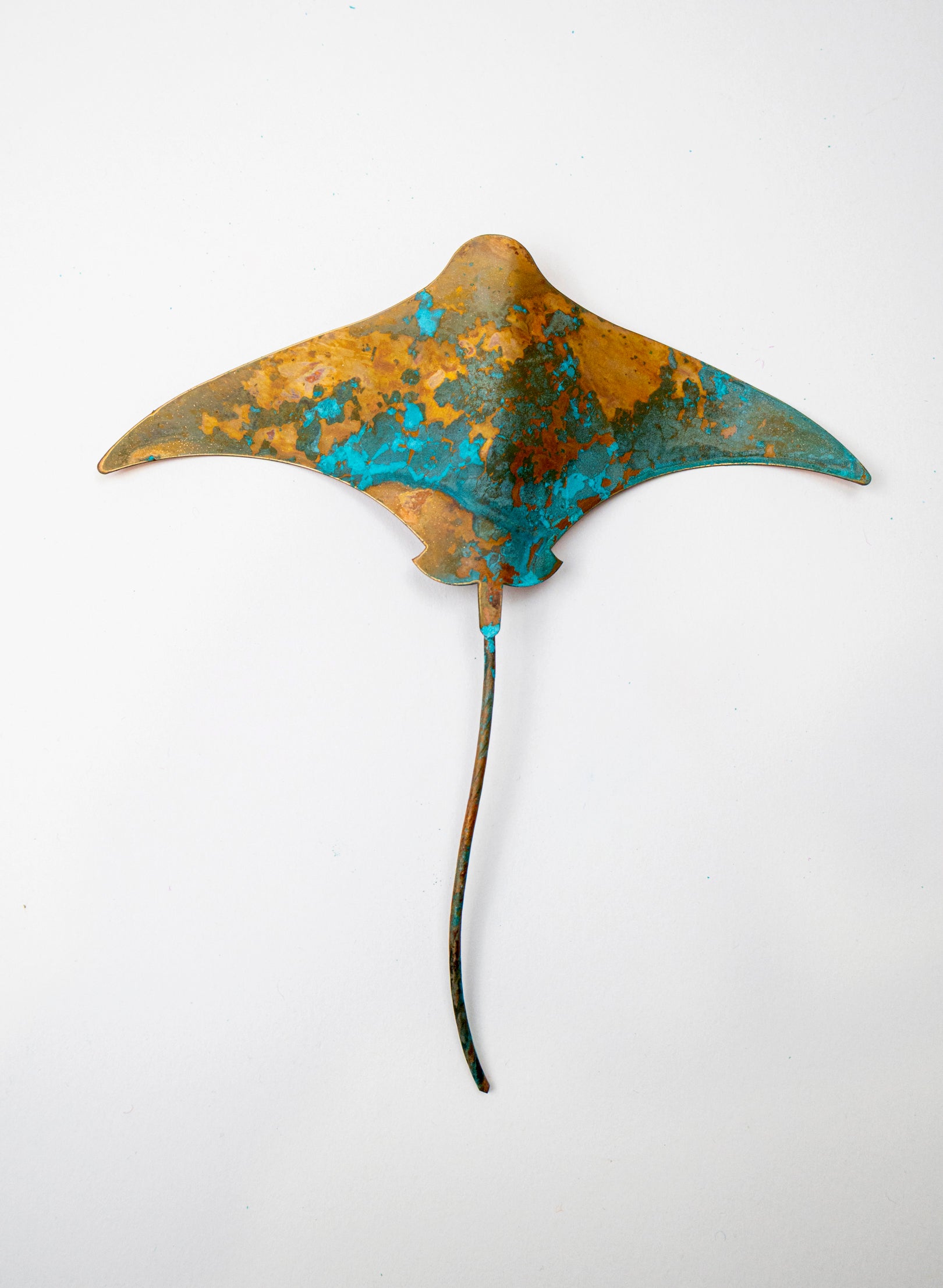 Stingray - Medium