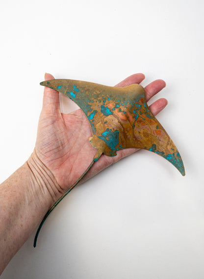 Stingray - Medium