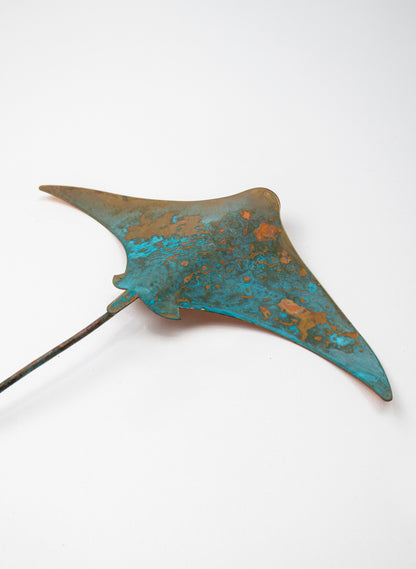 Stingray - Medium