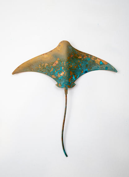 Stingray - Medium