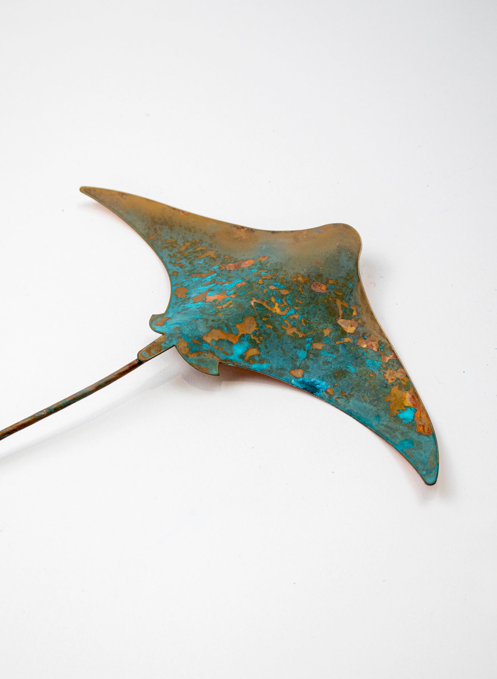 Stingray - Medium