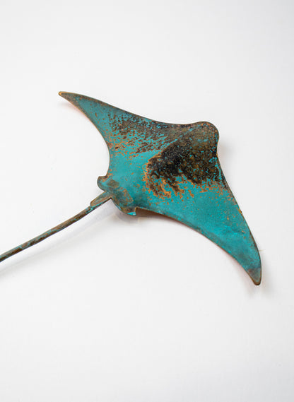 Stingray - Small