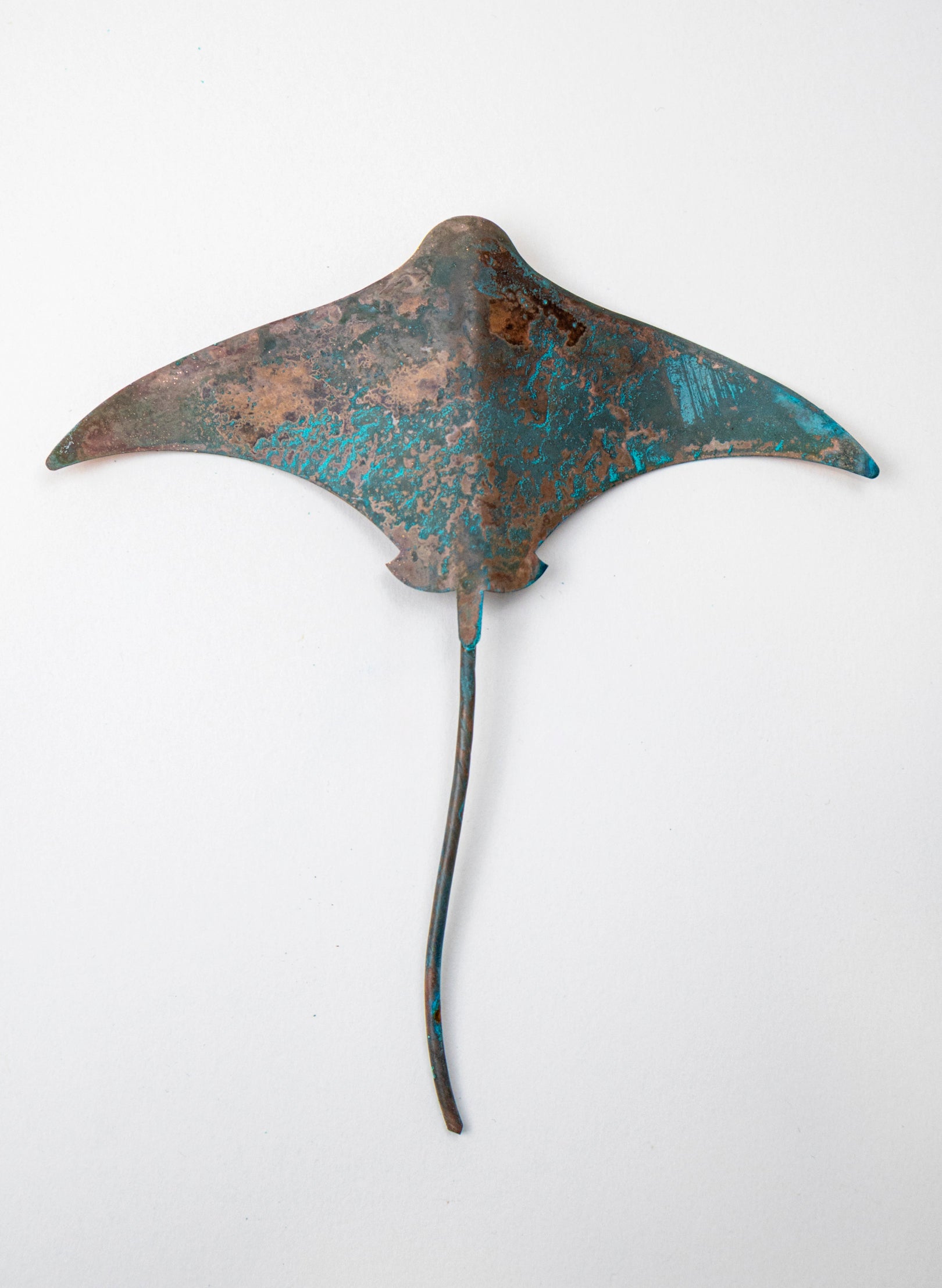 Stingray - Small