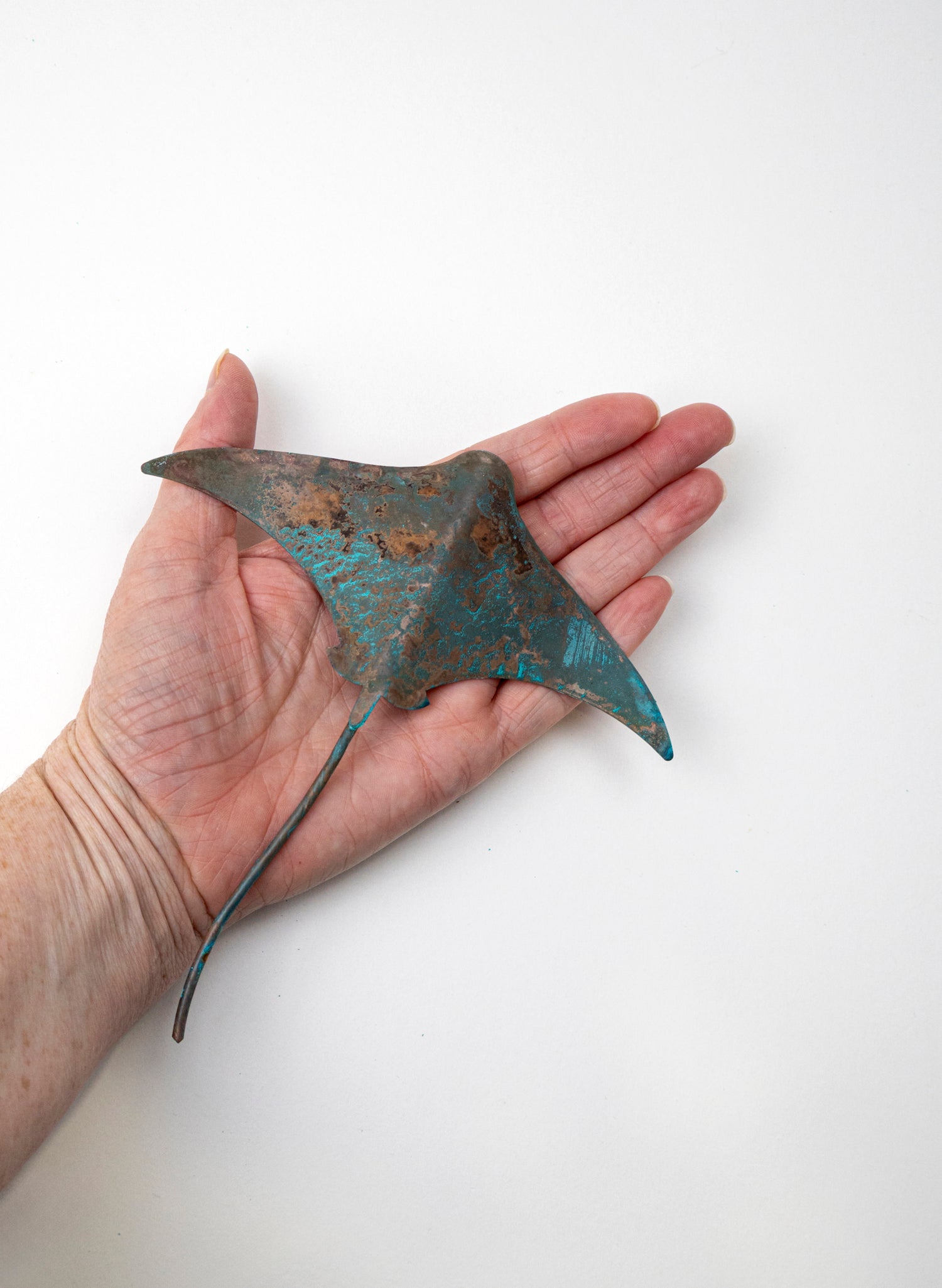 Stingray - Small