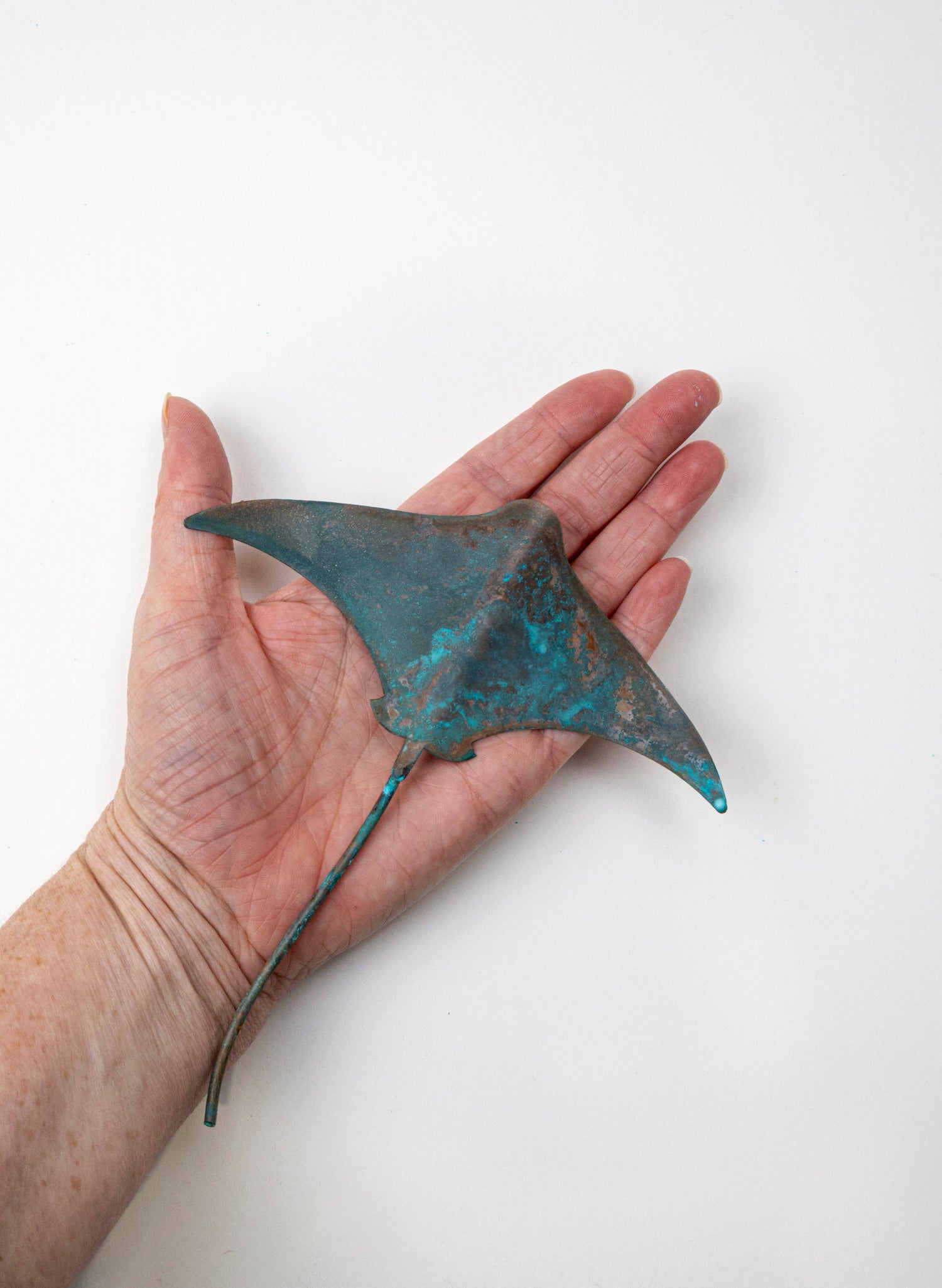 Stingray - Small