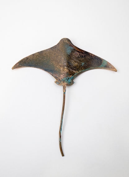 Stingray - Small