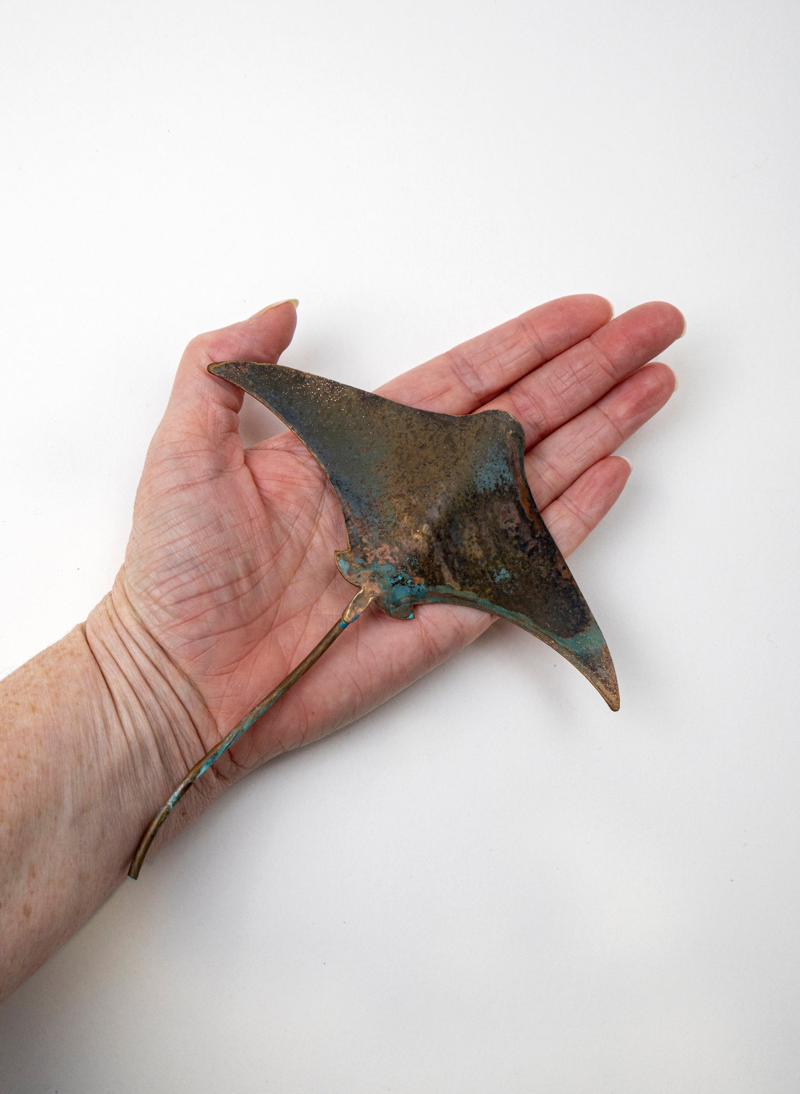 Stingray - Small