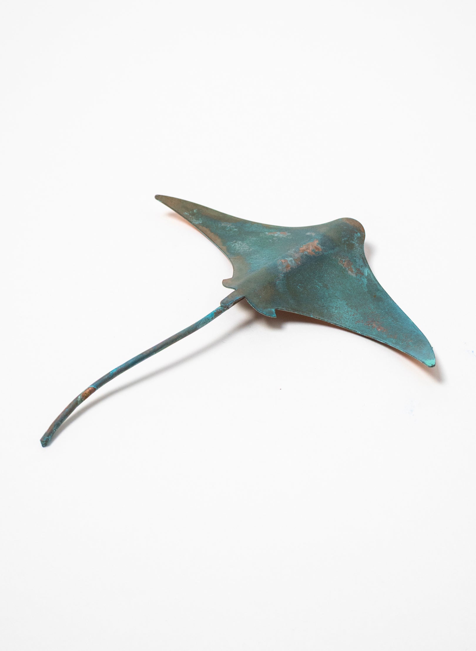 Stingray - Small